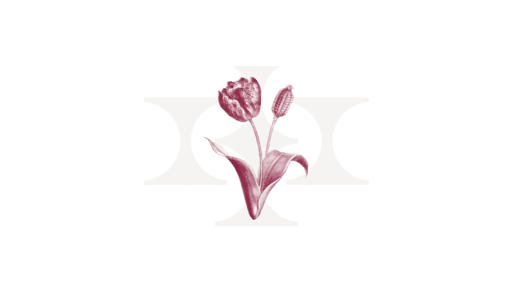 Hatay Juwelier - Image 31